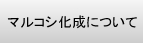 マルコシ化成について